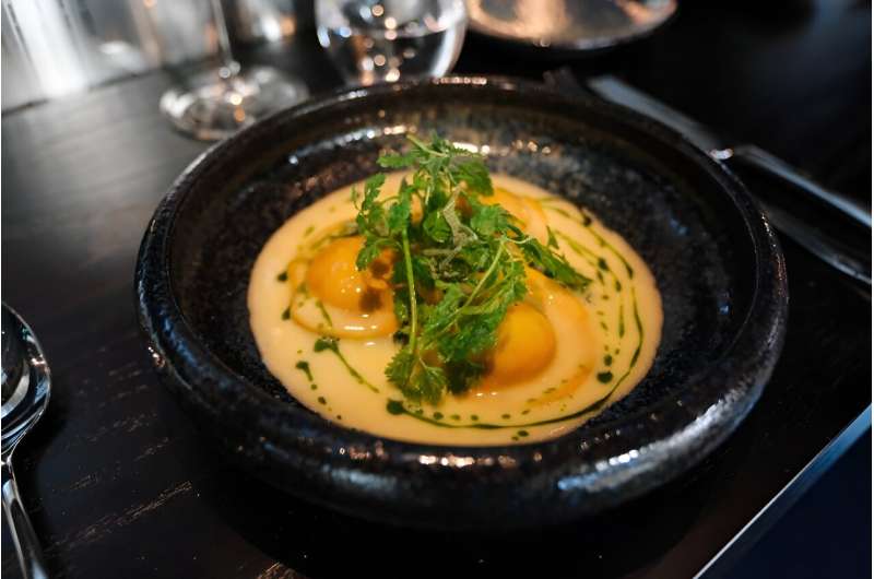 Finland s Cellular Agriculture: Producing Food with Microbes