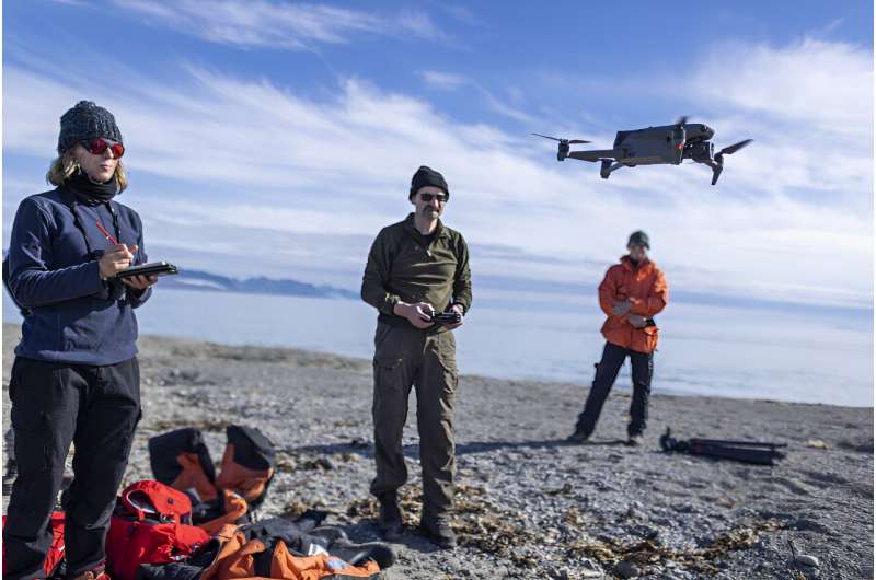 Drones & Satellite Imagery Confirm Walrus Population Counts in Svalbard