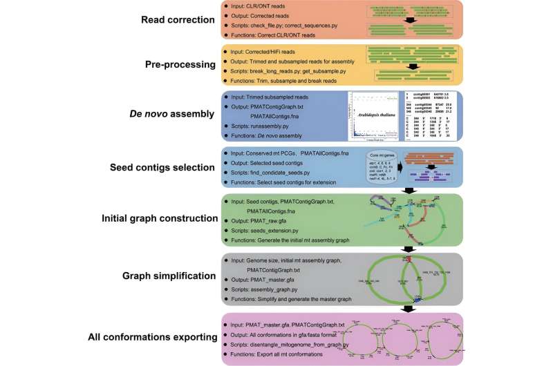 New Tool Streamlines Plant Mitochondrial Genome Assembly