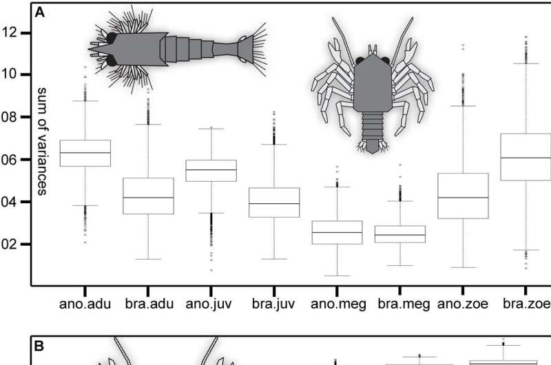 Crab Biodiversity: Unveiling Complexity Beyond Species Count