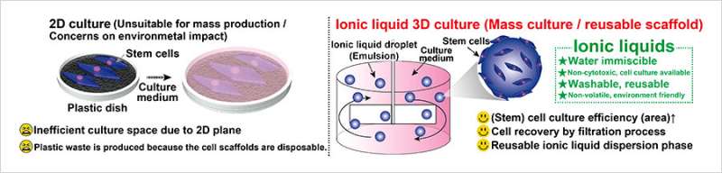 Stem Cell Cultivation Breakthrough: 3D Ionic Liquid Culture for Regenerative Medicine