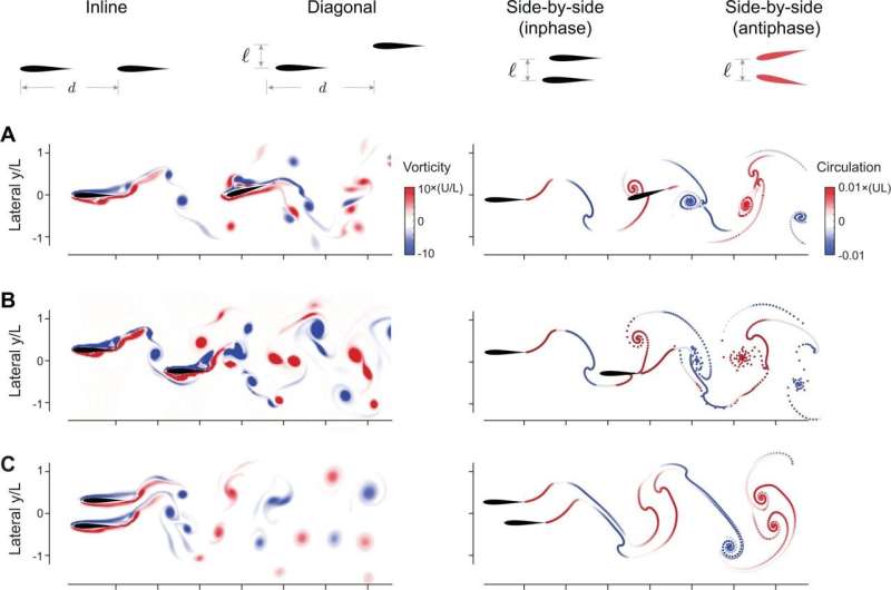 Fish Swimming Behavior: Competition, Not Cooperation, Drives Formation