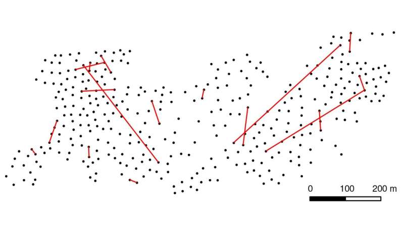 Forest Ecosystems: Discovering Family Structures in Finnish Pine Populations