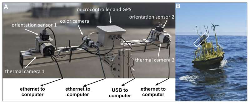 Seabird Study: Predicting Coexistence with Offshore Wind Turbines