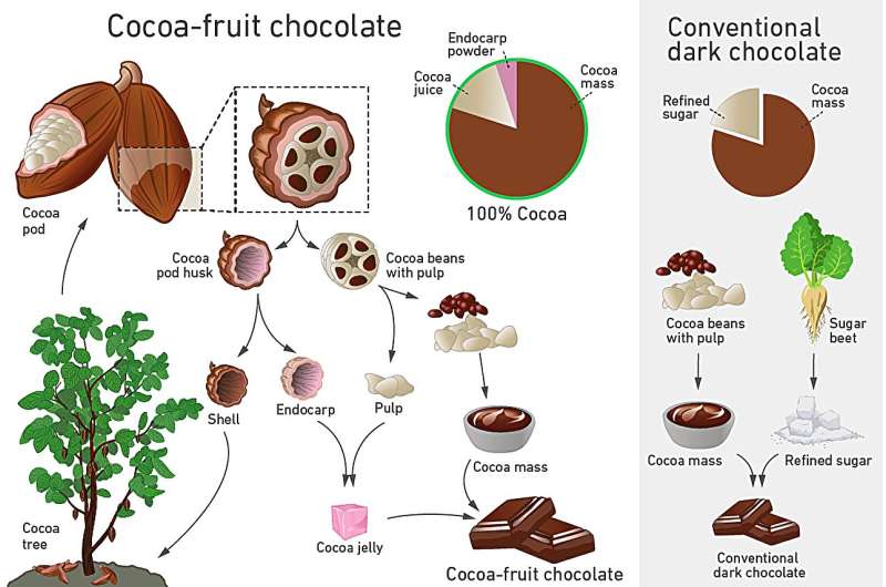 Whole-Fruit Chocolate: Boosting Cocoa Value & Healthier Treats