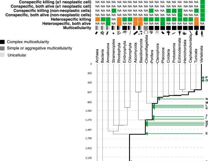 Cell Cannibalism: A Universal Phenomenon Across All Life Forms