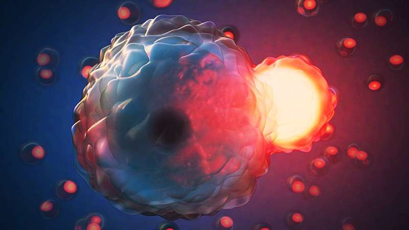 Cell Cannibalism: A Universal Phenomenon Across All Life Forms