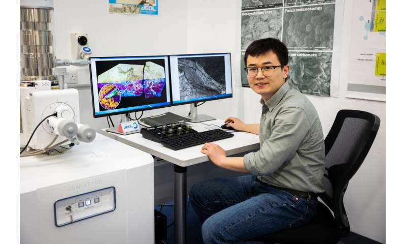 Dinosaur Feather Evolution: New Evidence of Scaly Skin