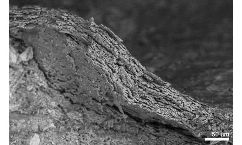 Dinosaur Feather Evolution: New Evidence of Scaly Skin