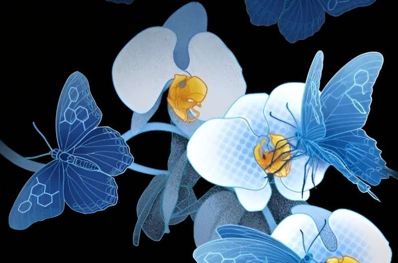 Noradrenaline Transporter: Understanding Dimerization and Antidepressant Interactions