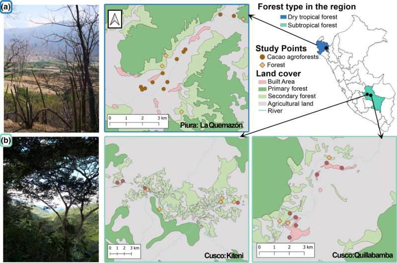 Agroforestry Bird Diversity: Landscape Impacts & Regional Differences - Conservation Science and Practice