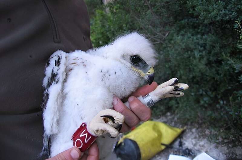 Advanced Statistical Methods for Wildlife Conservation: Protecting Endangered Populations