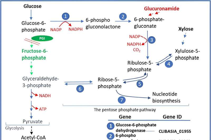 Citrus Greening (Huanglongbing): Understanding and Cultivating Resistance to *Candidatus Liberibacter asiaticus*