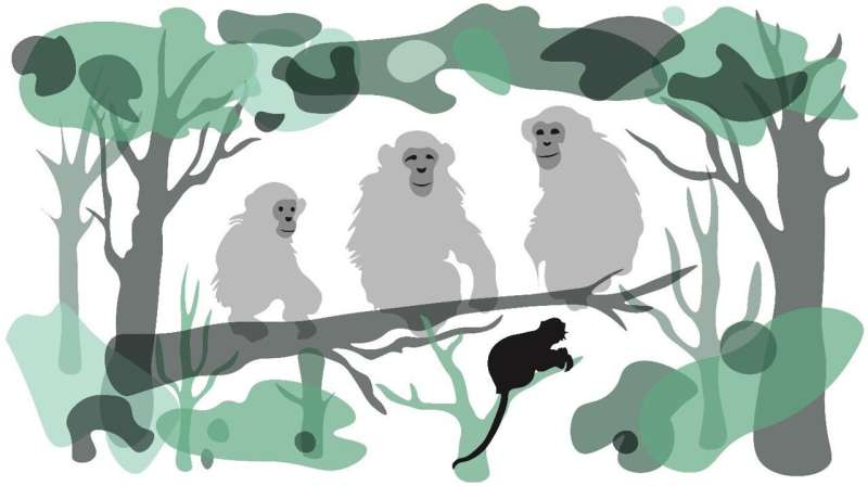 Surprising Discovery: Cooperative Hunting Simpler Than We Thought