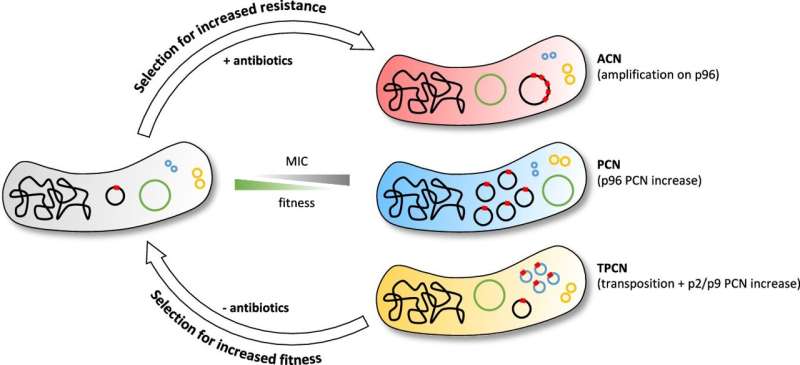 Understanding Antibiotic Resistance: New Research on Bacterial Mechanisms