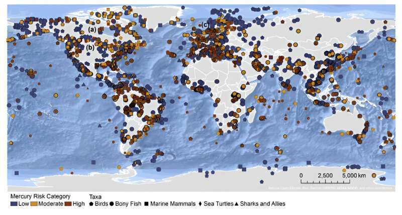 Global Mercury Levels in Fish & Wildlife: A Comprehensive Analysis