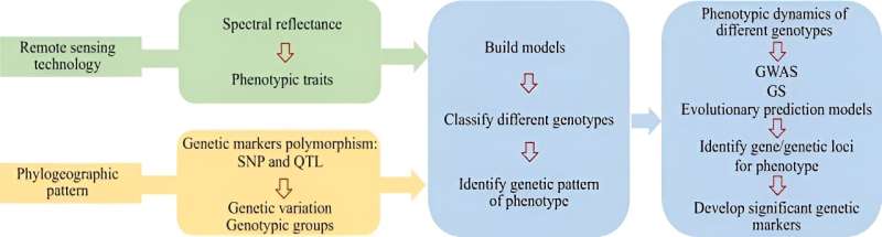 Remote Sensing for Plant Genetic Diversity: A New Research Review