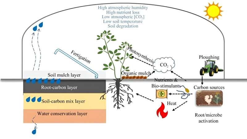 Plastic Greenhouse Soil Profiles: Boosting Sustainability & Crop Yields