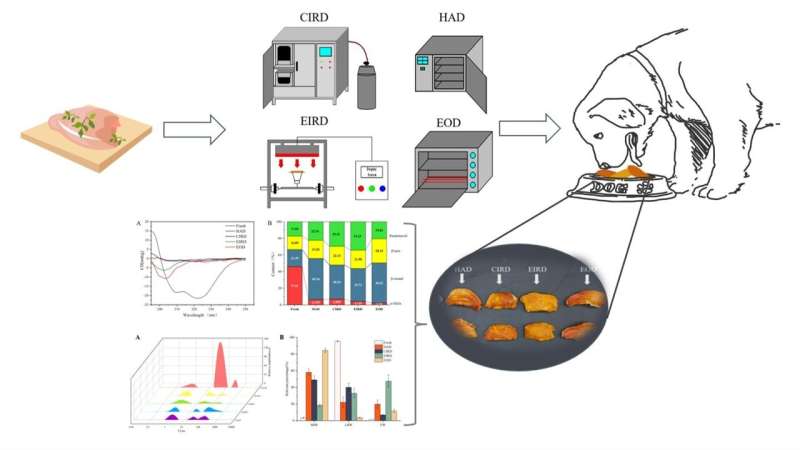 Drying Methods for Chicken Meat: Efficiency & Quality Analysis
