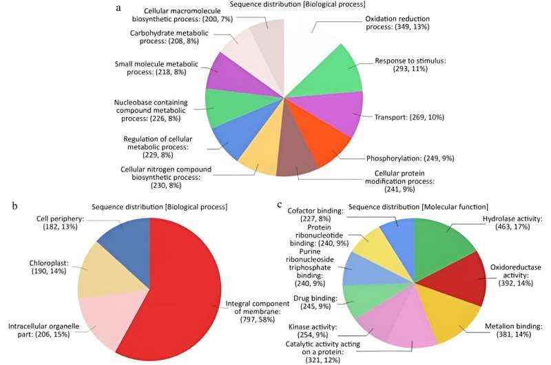 Understanding Impatiens Downy Mildew Resistance: A Transcriptomic Analysis