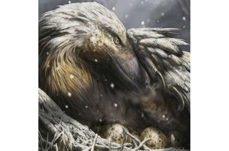 Warm-Blooded Dinosaurs: Evidence and Evolution