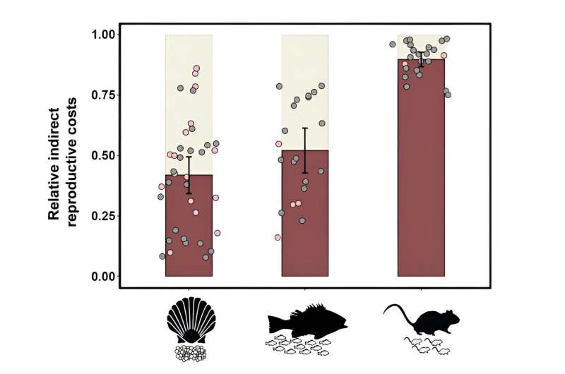 Reproduction Costs in Animals: New Science Reveals Hidden Energetic Demands