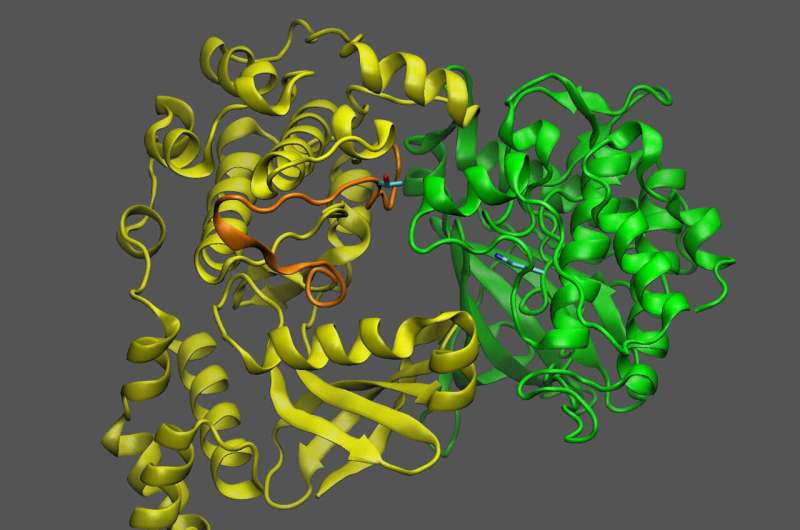 Sugar-Sensing Protein Controls Plant Growth & Oil Production - New Research