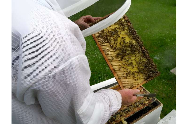 Regenerative Agriculture Revitalizes Kansas Tribal Farms