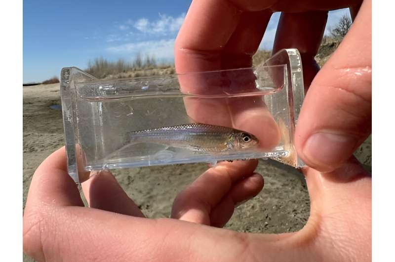 Climate Change & Freshwater Fish: The Importance of Scale in Vulnerability