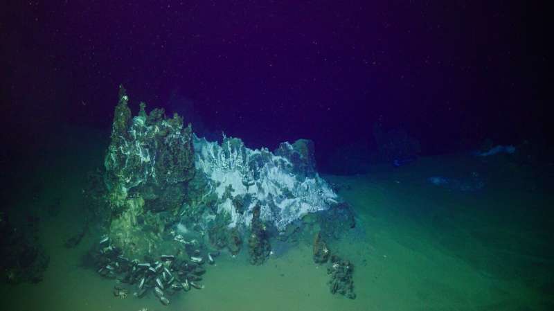 Volcanic Eruption Impacts Deep-Sea Life in Pacific: Research Findings