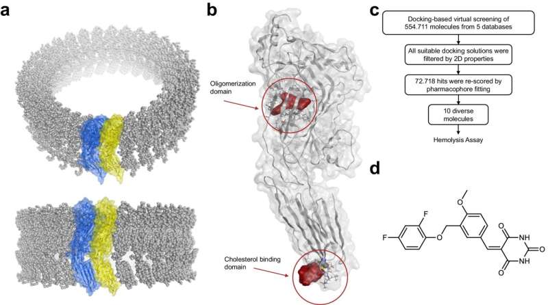 Pathoblockers: A Promising Alternative to Antibiotics - Study Highlights