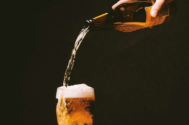 Killer Bee Beer: Scientists Brew Unique Craft Beer from Honeybee Microbiome