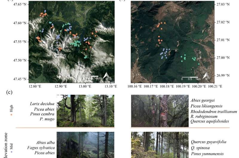 Elevation s Impact on Forest Biodiversity & Productivity: A New Study