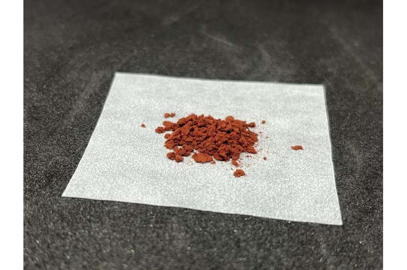 Persimmon Tannin Boosts Bioethanol Production: A Novel Approach