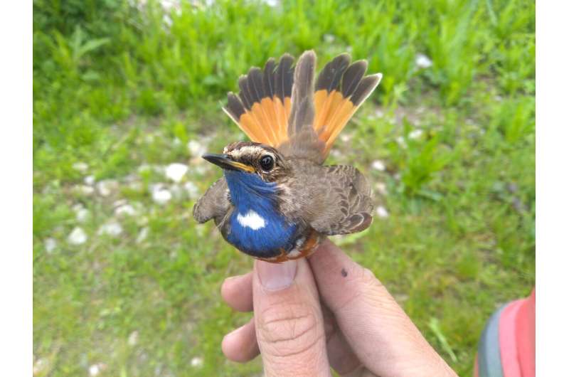 Unlock Biological Sample Potential with Standardized Metadata