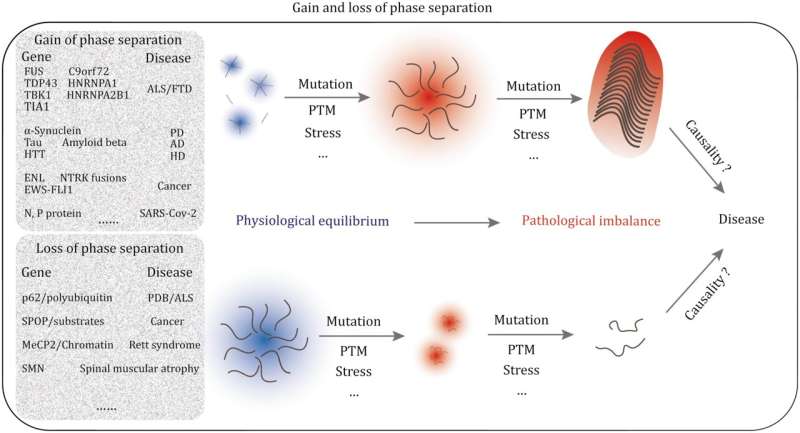 Phase Separation and Disease: A New Perspective for Drug Discovery