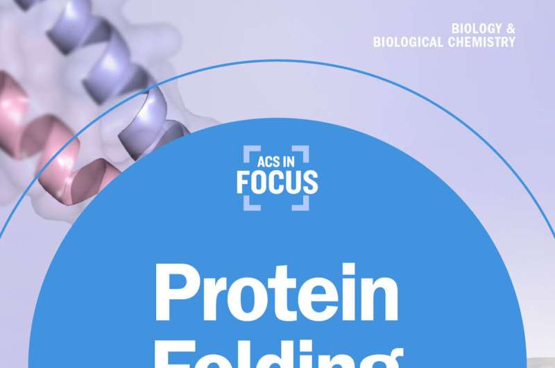 Understanding Protein Misfolding: Key to Novel Disease Treatments