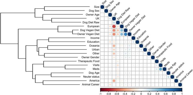 Vegan Diets for Dogs: New Research on Owner Perceptions & Health