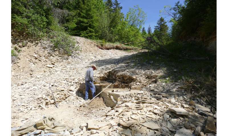 Ancient Brittle Star Fossil Reveals Clonal Reproduction in Germany