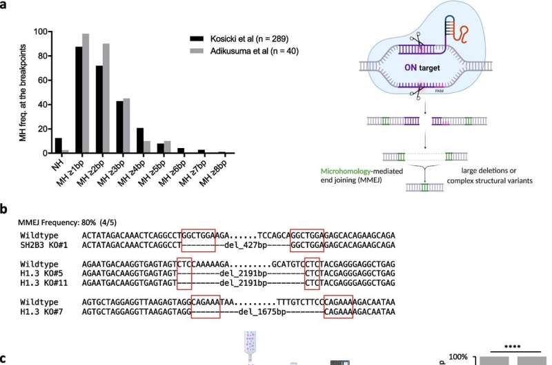 Enhanced CRISPR Editing: New Strategy Improves Safety and Accuracy