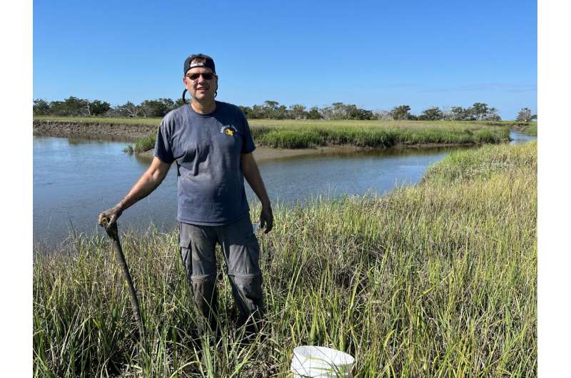 Microbes & Coastal Plant Health: A Deep Dive into Salt Marsh Ecosystems