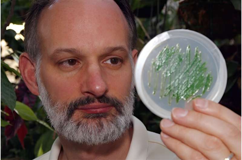 Algae Clock Control: Advancing Renewable Fuel & Medicine Production