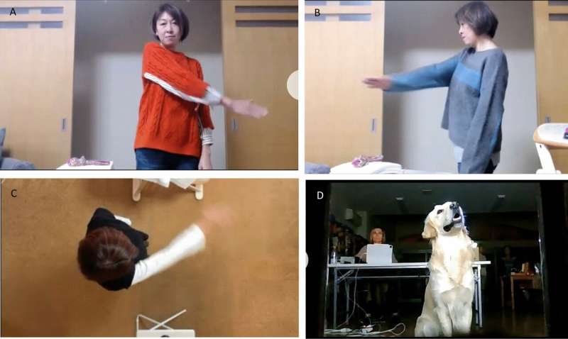 Dogs Can Learn by Watching: Study on Video Imitation Abilities