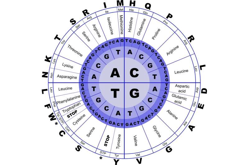 AI Decodes the Mysteries of Non-Coding Genes in Plant Research