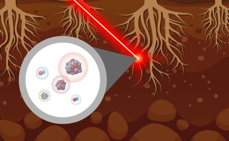 Mapping Nutrient Exchange: New Method Reveals Plant-Microbe Hotspots