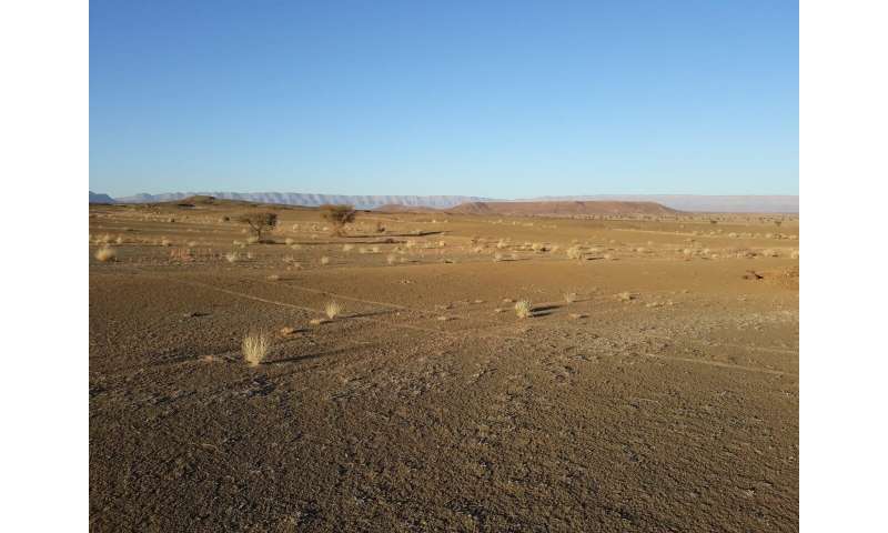 Ancient Fossil Reveals Origins of Spiders, Scorpions & Horseshoe Crabs