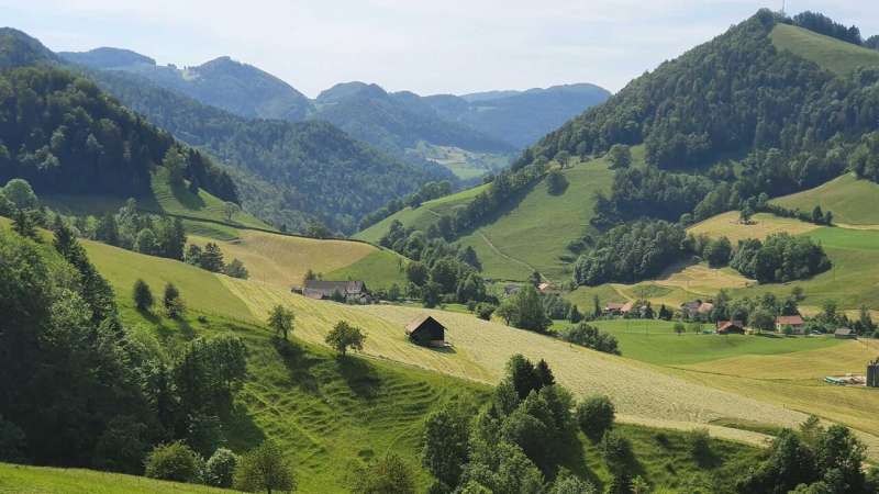 Mosaic Grassland Farming Boosts Ecosystem Services: Swiss Study