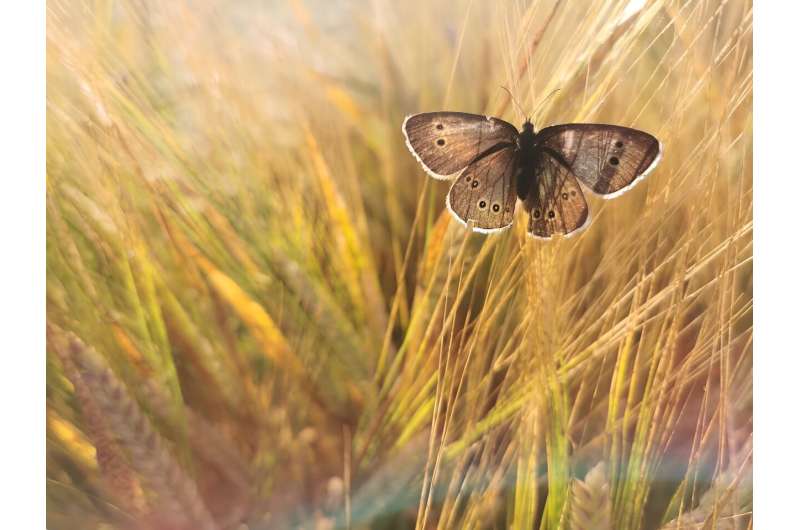 Sustainable Agriculture: Reducing Pesticide Use & Supporting Farmers