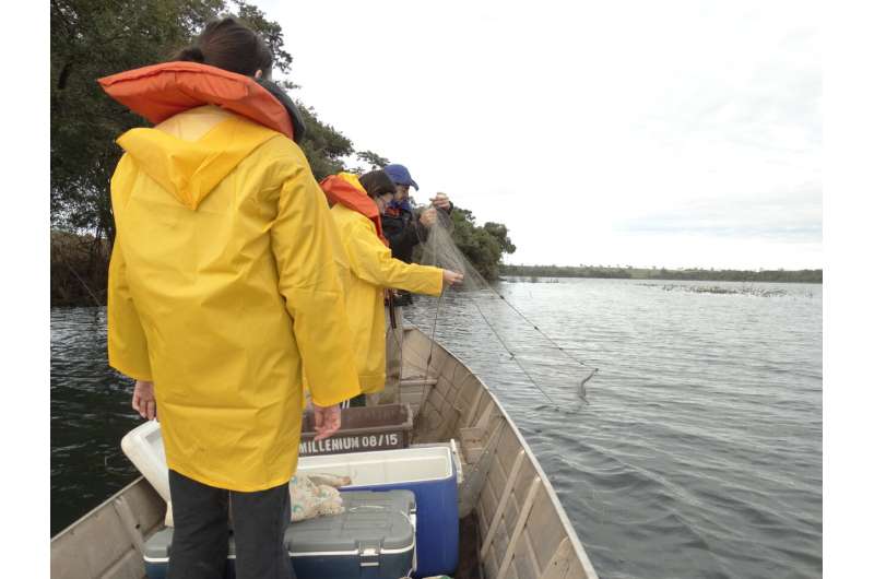 Amazon Fish Invasion Threatens Brazilian Reservoir Biodiversity