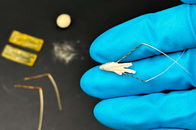 Biodegradable Biohybrid Robot for Reforestation: Flour & Oat-Based Seed Delivery